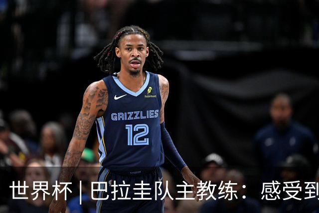 世界杯 | 巴拉圭队主教练：感受到比赛的极致压力