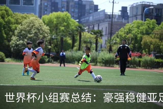 世界杯小组赛总结：豪强稳健亚足联9进2 真正的世界杯才刚开始