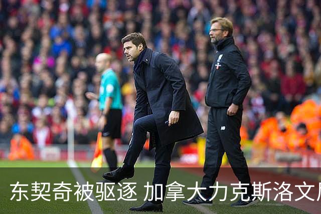 东契奇被驱逐 加拿大力克斯洛文尼亚晋级四强
