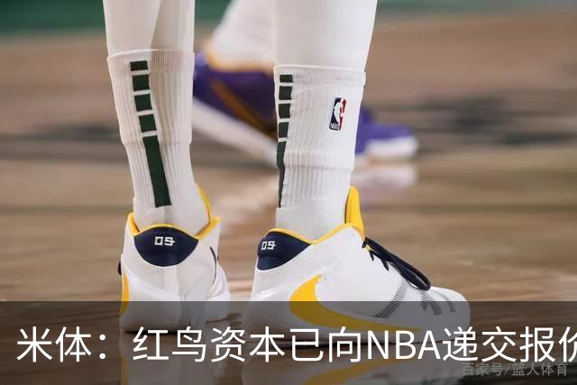米体：红鸟资本已向NBA递交报价，竞标NBA欧洲联赛米兰特许经营权